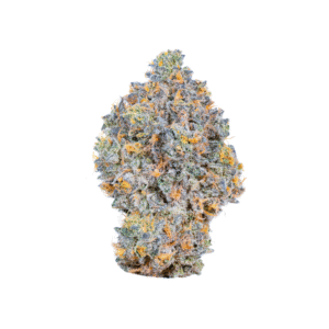 Blue Nerds