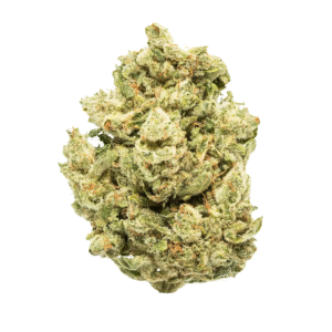 Gorilla Glue