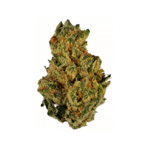 Grease Monkey